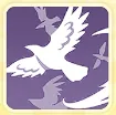 Raven Raid