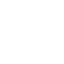 The Sound and the Fury